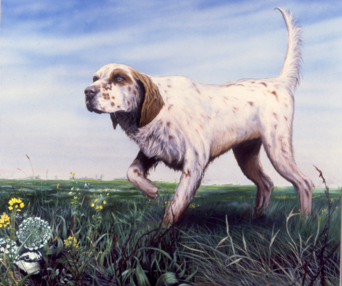 1997-hunting-dog-catherine-buchanan-50x60