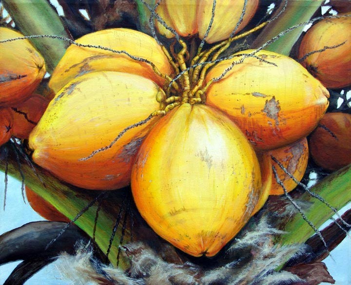 2003-fresh-yellow-coconuts-catherine-buchanan
