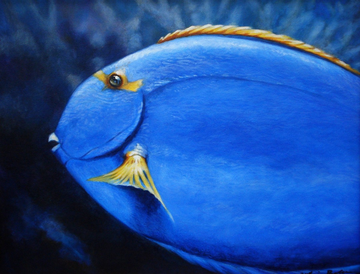 2006-blue-tang-molokai-catherine-buchanan-11x14