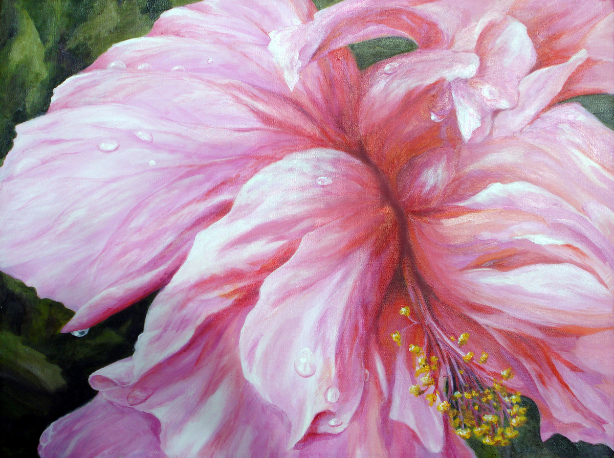 2006-pink-hibiscus-catherine-buchanan-16x20