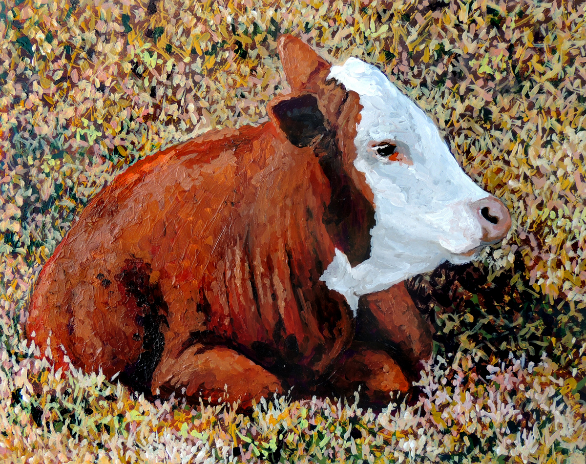 2013-pu'u-o-hoku-ranch-cows-1-catherine-buchanan-11x14