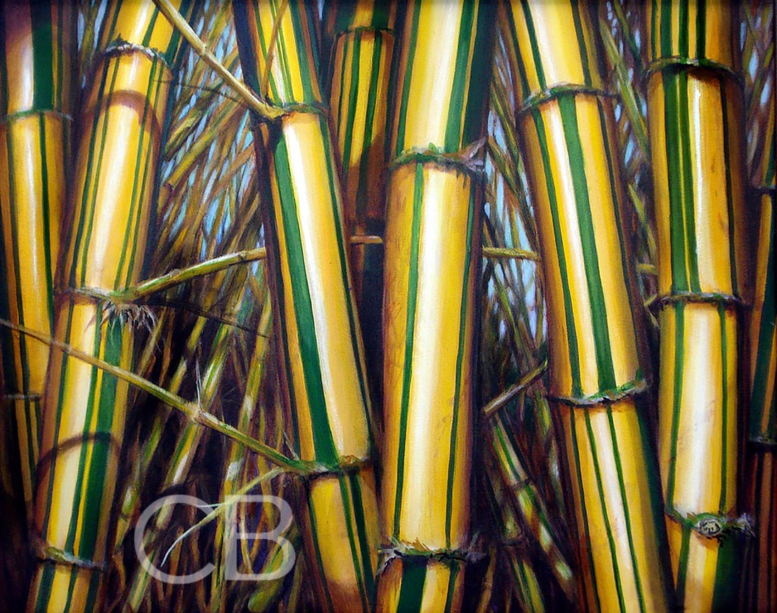 Bamboo Forest