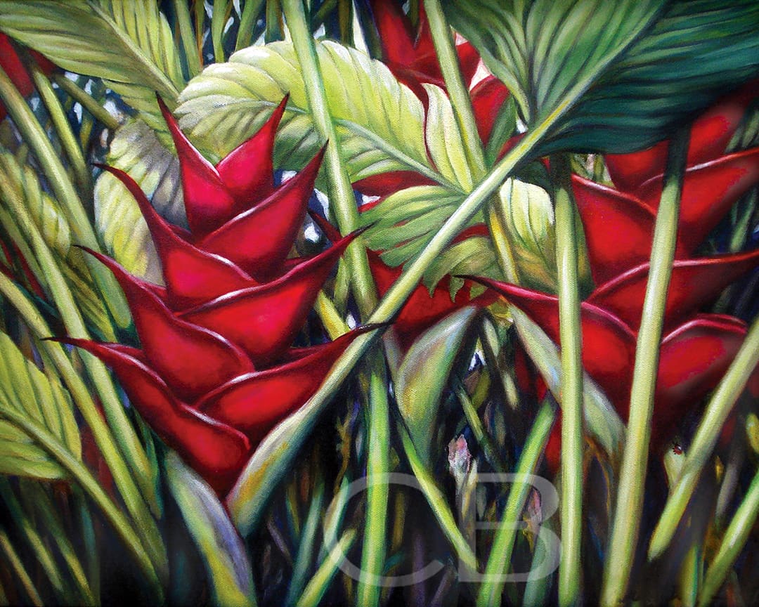 Heliconia Forest