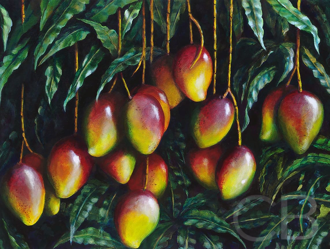 Mango Harvest