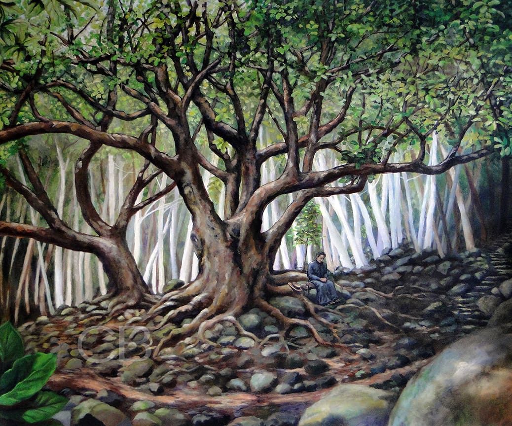 Under a Prayer Tree