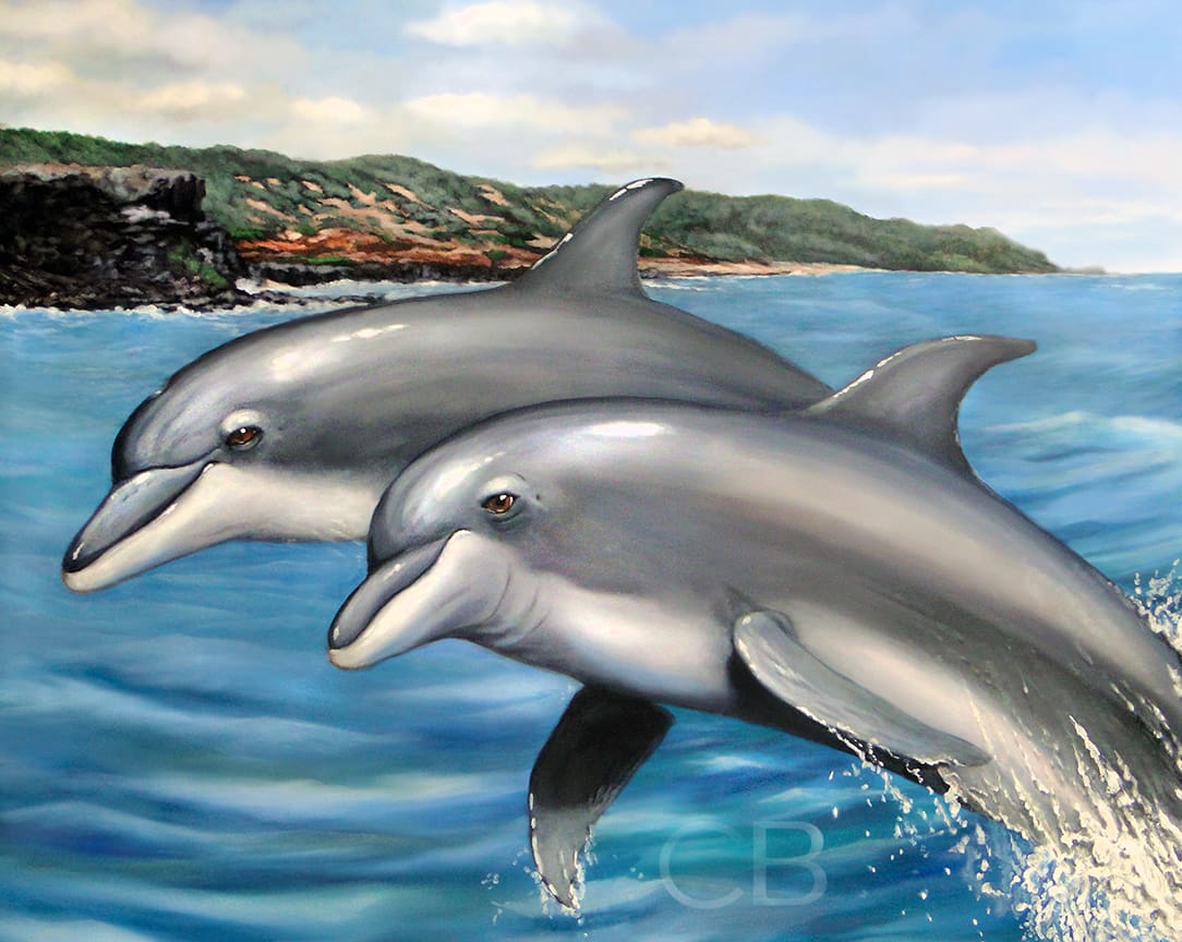 Mo’omomi Dolphins
