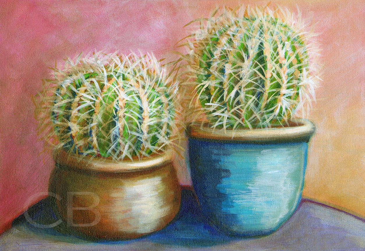 Barrel Cactus
