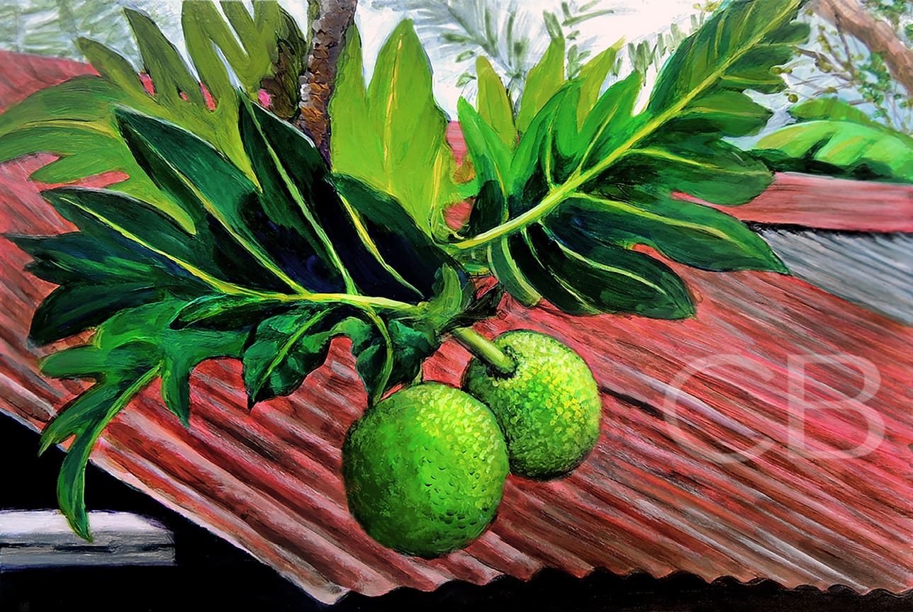 Ripe Breadfruit