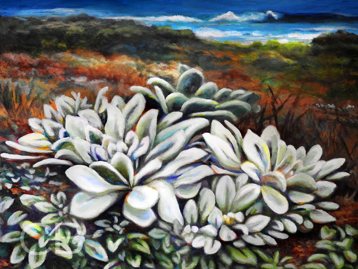 Molokai Land Trust
