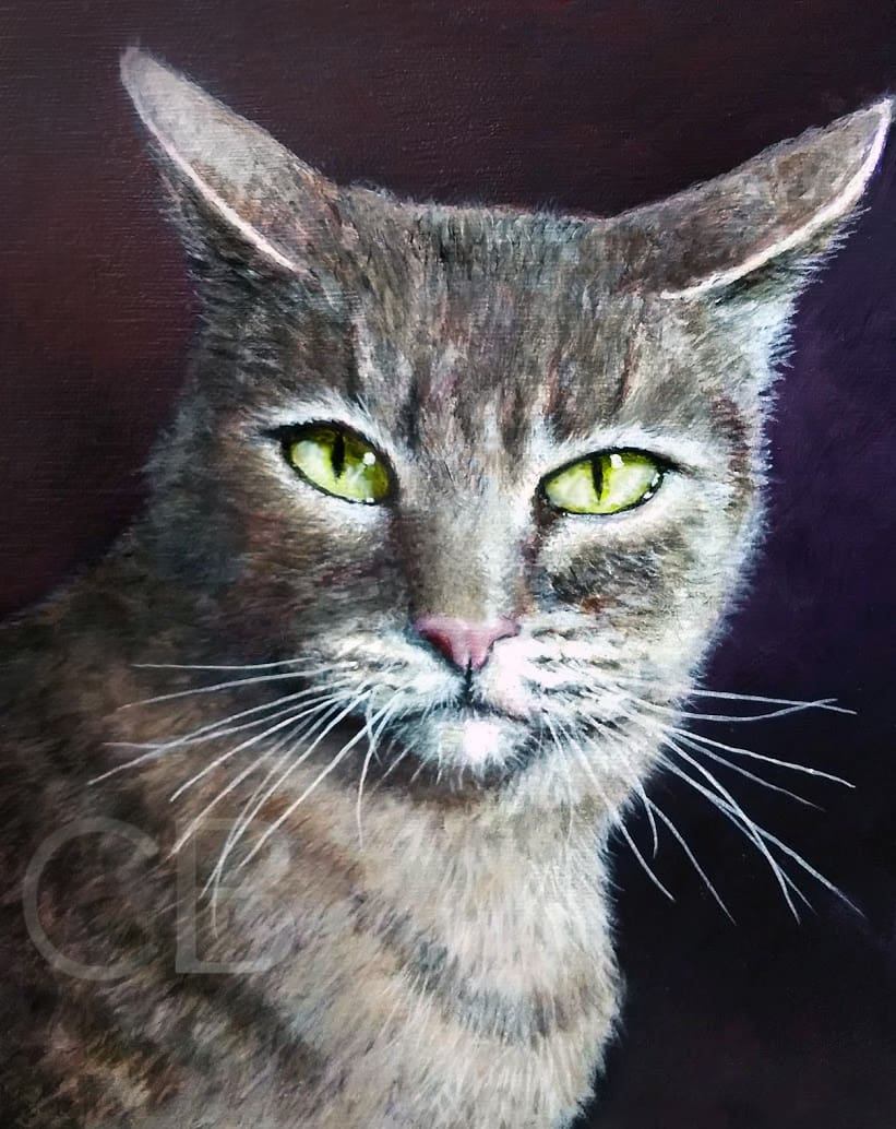 Classic Cat