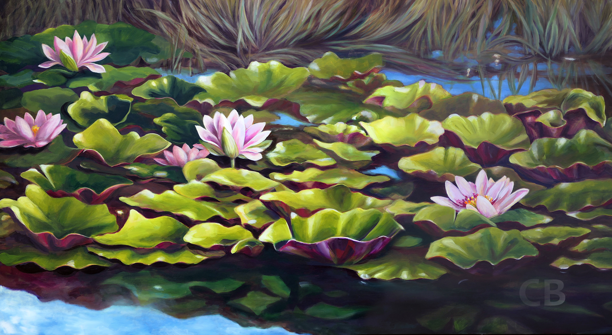 Waterlilies